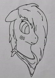 Size: 2247x3137 | Tagged: safe, artist:autumnsfurart, derpibooru import, oc, oc only, oc:glitter stone, earth pony, pony, blushing, bust, earth pony oc, female, hair over one eye, lineart, mare, neckerchief, traditional art