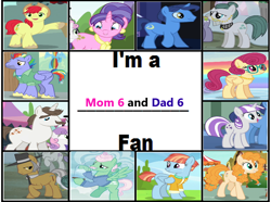 Size: 862x641 | Tagged: safe, derpibooru import, bow hothoof, bright mac, cloudy quartz, cookie crumbles, gentle breeze, hondo flanks, igneous rock pie, night light, pear butter, posey shy, twilight velvet, windy whistles, earth pony, pegasus, unicorn, dad six, meme, mom six