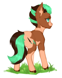 Size: 1408x1764 | Tagged: safe, artist:sannoe, derpibooru import, oc, oc:sage brush, oc:sagebrush, earth pony, pony, butt, coat markings, commission, cutie mark, earth pony oc, full body, grass, green eyes, hooves, looking away, male, multicolored hair, multicolored mane, multicolored tail, pinto, plot, pony oc, shading, simple background, solo, spots, stallion, standing, white background, ych result