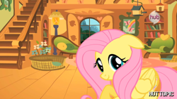 Size: 1280x720 | Tagged: safe, derpibooru import, fluttershy, cute, ears, floppy ears, fluttershy's cottage, hot minute, hot topic, hub logo, interview, looking at you, shy, shyabetes, solo