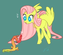 Size: 2104x1850 | Tagged: safe, artist:opalacorn, derpibooru import, fluttershy, pegasus, pony, amazed, duo, emanata, female, forked tongue, heart eyes, looking at each other, looking at someone, looking down, mare, meeting, no pupils, open mouth, simple background, size difference, spread wings, standing, teal background, three quarter view, unshorn fetlocks, wingding eyes, wings