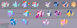 Size: 9432x3528 | Tagged: safe, artist:bluet0ast, derpibooru import, bow hothoof, flash sentry, luster dawn, night light, princess cadance, princess flurry heart, rainbow dash, shining armor, twilight sparkle, twilight sparkle (alicorn), twilight velvet, windy whistles, oc, oc:cyclone, oc:sleetstorm, oc:tornado, alicorn, pegasus, pony, bust, canon x oc, family tree, female, flashlight, horn, male, mare, offspring, parent:oc:tornado, parent:rainbow dash, parents:canon x oc, pegasus oc, shiningcadance, shipping, stallion, straight, wings