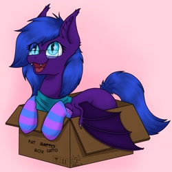 Size: 3072x3072 | Tagged: safe, artist:zackwhitefang, derpibooru import, oc, oc only, bat pony, pony, bat pony oc, bat wings, behaving like a cat, box, clothes, commission, cute, cute little fangs, digital art, fangs, female, glasses, hooves, if i fits i sits, mare, open mouth, pony in a box, scarf, socks, solo, spread wings, striped socks, tail, wings