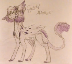 Size: 2018x1791 | Tagged: safe, artist:blairsinith313, derpibooru import, oc, oc:crystal amethyst, dracony, hybrid, claws, ear fins, female, interspecies offspring, offspring, parent:rarity, parent:spike, parents:sparity, solo, traditional art, wings