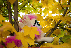 Size: 2300x1533 | Tagged: safe, artist:fluttershyhiker, artist:lanacraft, derpibooru import, fluttershy, pony, irl, leaf, maple, photo, plushie, solo, tree