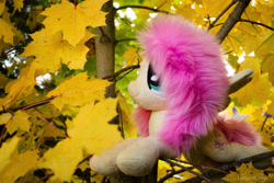 Size: 2300x1533 | Tagged: safe, artist:fluttershyhiker, artist:lanacraft, derpibooru import, fluttershy, pony, irl, leaf, maple, photo, plushie, solo, tree