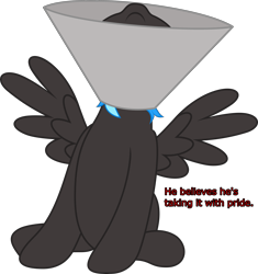 Size: 3619x3849 | Tagged: safe, artist:waveywaves, derpibooru import, oc, oc only, oc:nimbus, pegasus, elizabethan collar, simple background, solo, spread wings, text, transparent background, wings