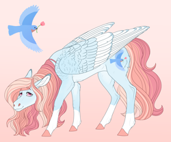 Size: 2880x2400 | Tagged: safe, artist:bluet0ast, derpibooru import, oc, oc only, oc:gentle breeze, bird, pegasus, pony, colored hooves, flower, flower in hair, magical lesbian spawn, male, offspring, orange background, parent:fluttershy, parent:rainbow dash, parents:flutterdash, pegasus oc, simple background, solo, stallion, wings