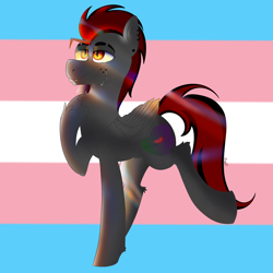 Size: 4000x4000 | Tagged: safe, artist:dicemarensfw, derpibooru import, oc, oc:dicemare, pegasus, crying, fangs, freckles, happy, hoof on chest, lighting, looking up, male, piercing, pride, pride flag, solo, stallion, trans male, transgender, transgender pride flag, wings