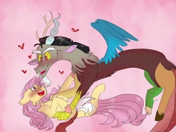 Size: 768x576 | Tagged: safe, artist:cocolove2176, derpibooru import, discord, fluttershy, draconequus, pony, blushing, blushing profusely, discoshy, female, hand on chest, heart, looking at each other, male, pink background, shipping, simple background, straight, tickling