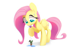 Size: 1076x742 | Tagged: safe, artist:dawnfire, fluttershy, pegasus, pony, cactus, colored pupils, female, mare, mouth hold, raised hoof, raised leg, simple background, solo, sunglasses, sweat, sweatdrop, watering can, white background