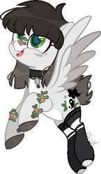 Size: 295x507 | Tagged: safe, artist:kurosawakuro, derpibooru import, oc, pegasus, pony, clothes, female, mare, simple background, socks, solo, transparent background