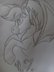 Size: 1536x2048 | Tagged: safe, artist:silbernepegasus, derpibooru import, bat pony, pony, solo, traditional art