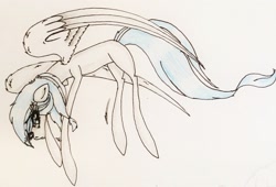 Size: 2317x1576 | Tagged: safe, artist:beamybutt, derpibooru import, oc, oc only, pegasus, pony, female, mare, pegasus oc, signature, traditional art, wings