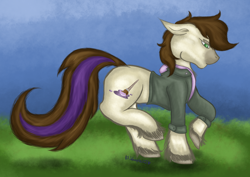 Size: 3508x2480 | Tagged: safe, artist:lil_vampirecj, derpibooru import, oc, oc:cjvampire, earth pony, pony, art, bomber jacket, brown mane, brown tail, clothes, cutie mark, dressage, feather, grass, grass field, green eyes, hoodie, jacket, krita, paintbrush, photo, scenery, solo, tail highlight, trotting