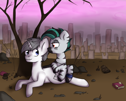 Size: 3500x2800 | Tagged: safe, artist:ranillopa, derpibooru import, oc, oc only, pony, unicorn, zebra, fallout equestria, bedroom eyes, commission, digital art, duo, female, hooves, horn, looking at each other, male, mare, stallion, tail, wasteland, zebra oc