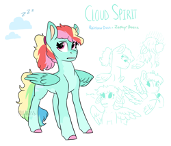 Size: 2057x1751 | Tagged: safe, artist:moccabliss, derpibooru import, oc, oc:cloud spriti, pegasus, pony, female, mare, offspring, parent:rainbow dash, parent:soarin', parents:soarindash, solo