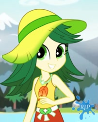 Size: 850x1050 | Tagged: safe, artist:rjp.rammy, derpibooru import, sweet leaf, equestria girls, clothes, hat, shirt, solo