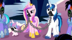 Size: 750x421 | Tagged: safe, derpibooru import, screencap, princess cadance, shining armor, season 9, the beginning of the end, spoiler:s09, animated, gag, muzzle gag, you know for kids