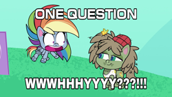 Size: 1920x1080 | Tagged: safe, derpibooru import, edit, edited screencap, screencap, dishwater slog, rainbow dash, earth pony, pegasus, pony, between dark and dawn, my little pony: pony life, the best of the worst, caption, duo, female, male, meme, open mouth, shocked, text