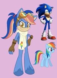 Size: 1509x2048 | Tagged: safe, derpibooru import, rainbow dash, oc, oc:prismatic fast the hedgehorse, clothes, crossover, crossover shipping, female, goggles, hand on hip, male, parents:sonicdash, pink background, scarf, shipping, simple background, sonic the hedgehog, sonic the hedgehog (series), sonicdash, straight