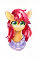 Size: 592x907 | Tagged: safe, artist:maytee, derpibooru import, roseluck, earth pony, pony, bust, marker drawing, portrait, solo, traditional art