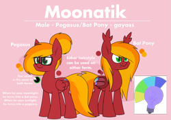 Size: 3125x2192 | Tagged: safe, artist:moonatik, derpibooru import, oc, oc only, bat pony, pegasus, pony, rat, bat pony oc, cutie mark, glasses, hair bun, male, pegasus oc, reference sheet, simple background, solo, stallion, text, transparent background, vulgar, vulgar description