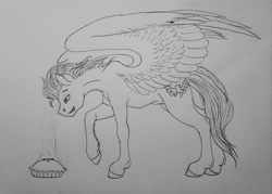 Size: 3264x2333 | Tagged: safe, artist:crazyaniknowit, derpibooru import, soarin', pony, food, monochrome, pie, sketch, solo, traditional art