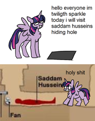 Size: 656x838 | Tagged: safe, artist:quiqyquiq, derpibooru import, twilight sparkle, twilight sparkle (alicorn), alicorn, meme, missing cutie mark, saddam hussein, saddam hussein's hiding place, text, vulgar