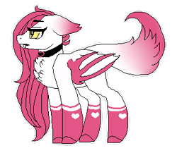 Size: 330x286 | Tagged: safe, artist:inspiredpixels, derpibooru import, oc, oc only, bat pony, pony, bat pony oc, choker, coat markings, ears, fangs, floppy ears, simple background, socks (coat marking), solo, transparent background