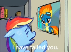 Size: 1766x1292 | Tagged: safe, artist:dummyhorse, derpibooru import, rainbow dash, spitfire, pegasus, pony, crying, dexter's laboratory, female, i have failed you, mare, meme, solo