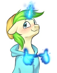 Size: 514x657 | Tagged: safe, artist:megabait, derpibooru import, oc, oc only, oc:markov, pony, unicorn, 4chan, blue hoodie, green hair, is for me, magic, meme, yellow hat