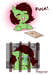 Size: 836x1200 | Tagged: safe, artist:cold-blooded-twilight, oc, oc only, oc:anon filly, earth pony, pony, 2 panel comic, big smile, blushing, chest fluff, comic, crying, ears, eyes closed, female, filly, floppy ears, fuck, funny, happy, menu, open mouth, prison, scared, shrunken pupils, simple background, smiling, solo, teary eyes, vulgar