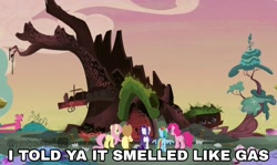 Size: 1212x720 | Tagged: safe, derpibooru import, edit, edited screencap, editor:notxweeb, screencap, applejack, fluttershy, pinkie pie, rainbow dash, rarity, earth pony, pegasus, pony, unicorn, castle sweet castle, golden oaks library, photo, ruins, text, watermark