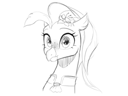 Size: 1061x803 | Tagged: safe, artist:cadillacdynamite, derpibooru import, princess skystar, hippogriff, my little pony: the movie, cute, female, freckles, sketch, skyabetes, solo