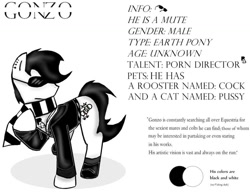 Size: 1018x785 | Tagged: safe, artist:thedansingpig, derpibooru import, oc, oc only, earth pony, pony, 2015, clothes, ear piercing, male, piercing, raised hoof, raised leg, reference sheet, scarf, solo, stallion, story included, sunglasses