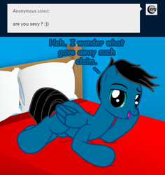 Size: 3946x4184 | Tagged: safe, artist:agkandphotomaker2000, derpibooru import, oc, oc:pony video maker, pegasus, pony, anonymous, ask, bed, bedroom, bedroom eyes, dialogue, draw me like one of your french girls, looking at you, lying down, pillow, show accurate, simple background, solo, tumblr, tumblr:pony video maker's blog