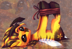 Size: 4576x3102 | Tagged: safe, artist:krissstudios, derpibooru import, oc, bee, bee pony, original species, bondage, female, high res, hogtied, looking at you, lying down, on back, smiling, solo