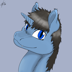 Size: 1200x1200 | Tagged: safe, artist:hadoukishi, derpibooru import, oc, oc only, pony, unicorn, bust, digital art, horn, looking at you, male, portrait, simple background, solo, stallion