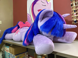 Size: 2688x2016 | Tagged: safe, artist:qtpony, derpibooru import, princess cadance, twilight sparkle, pony, bow, eyes closed, irl, lying down, photo, plushie, prone, tail bow