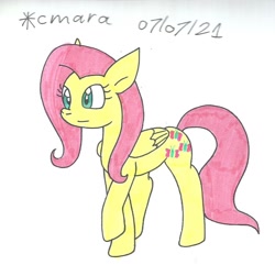 Size: 1092x1053 | Tagged: safe, artist:cmara, derpibooru import, fluttershy, pegasus, pony, female, mare, raised hoof, raised leg, simple background, solo, traditional art, white background