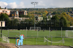 Size: 3000x2000 | Tagged: safe, artist:dashiesparkle, derpibooru import, rainbow dash, pegasus, pony, female, irl, mare, philadelphia, photo, ponies in real life, scranton, soccer field