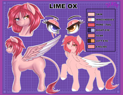 Size: 4500x3500 | Tagged: safe, artist:derpx1, derpibooru import, oc, oc only, oc:lime ox, pegasus, pony, bust, commission, eye scar, female, heterochromia, leonine tail, mare, portrait, reference sheet, scar, white outline