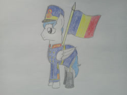 Size: 1280x960 | Tagged: safe, artist:angelovalouva, oc, pegasus, pony, clothes, flag, male, romania, solo, traditional art