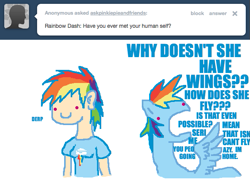 Size: 647x500 | Tagged: safe, artist:askpinkiepieandfriends, derpibooru import, rainbow dash, human, pegasus, pony, ask, duo, female, human ponidox, humanized, mare, self ponidox, simple background, tumblr, white background, yelling