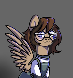 Size: 3000x3200 | Tagged: safe, artist:ranillopa, derpibooru import, oc, oc only, pegasus, pony, clothes, commission, digital art, female, hooves, mare, sitting, solo, spread wings, wings