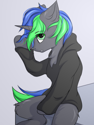 Size: 1500x2000 | Tagged: safe, artist:snowstormbat, derpibooru import, pony, unicorn, clothes, hoodie, male, my little pony, sitting, solo, stallion