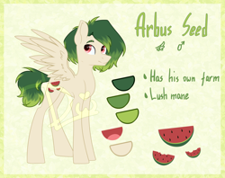 Size: 2950x2338 | Tagged: safe, artist:lambydwight, derpibooru import, oc, pegasus, pony, adoptable