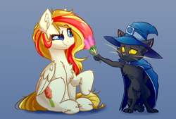 Size: 4000x2700 | Tagged: safe, artist:witchtaunter, derpibooru import, oc, abyssinian, cat, pegasus, pony, abyssinian oc, cape, chest fluff, clothes, commission, ear fluff, ears, flower, hat, simple background, sitting, smiling, smirk