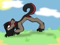 Size: 2048x1536 | Tagged: safe, artist:revenge.cats, derpibooru import, dog, dog pony, earth pony, hybrid, pony, bent over, bert mccracken, cloud, cloudy, emo, grass, hooves, looking back, paws, ponified, smiling, spots, sun, the used